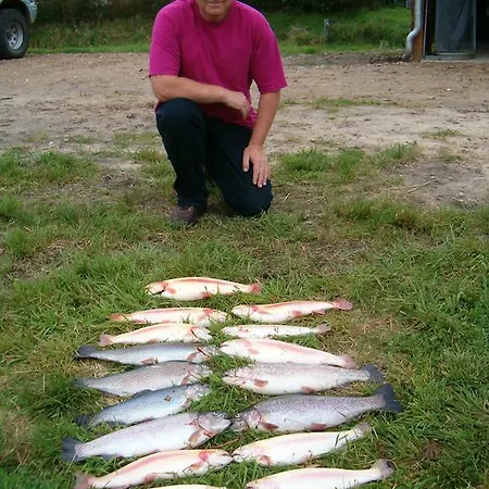 Camping Holme å Camping&cottages Hovborg