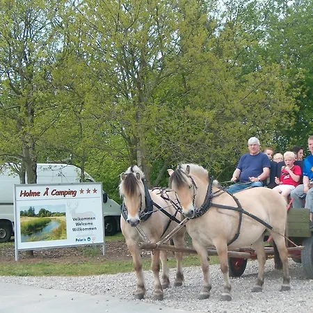Campingplads Holme A &