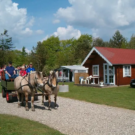 Campingplads Holme A &